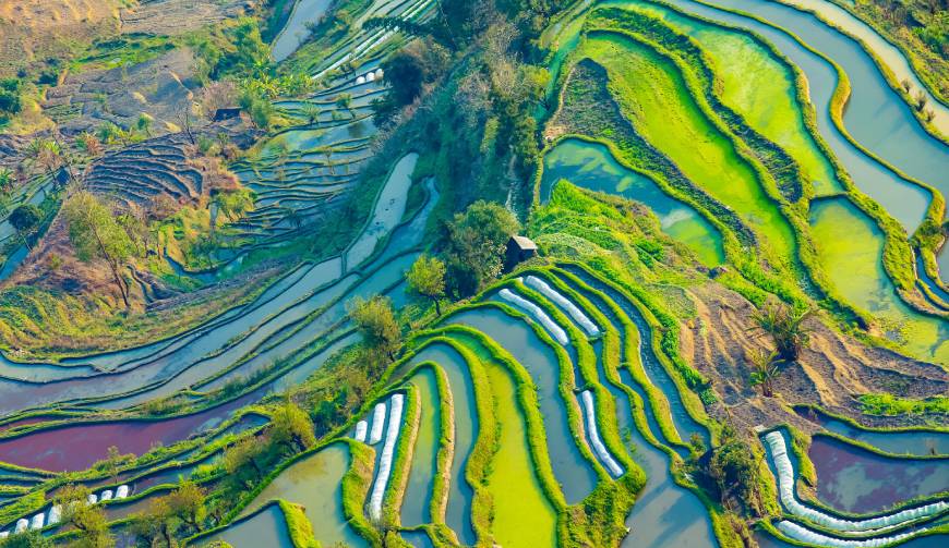 走进丁青县TVC拍摄：解锁本地化场景与创意镜头的完美融合